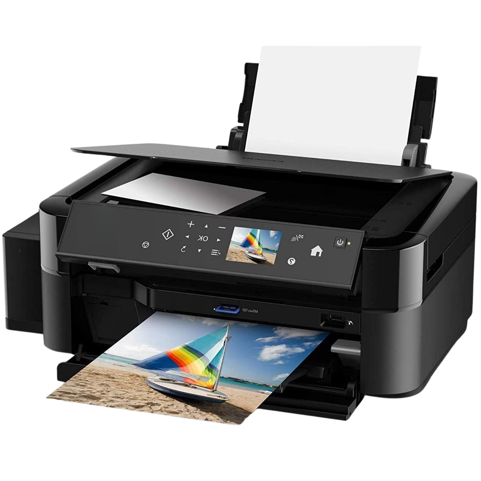 Banner Printing